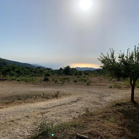 Da Carmine In Campagna *