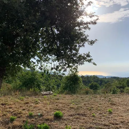 Da Carmine In Campagna * Perdifumo