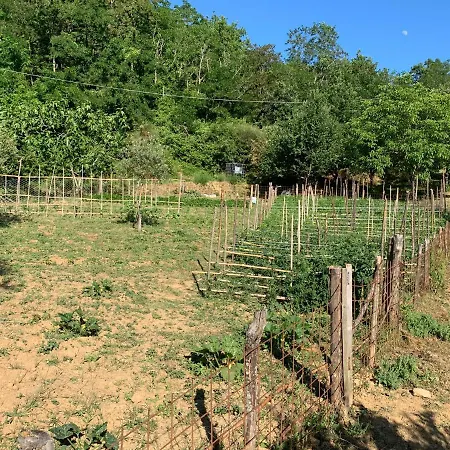 Apartment Da Carmine In Campagna