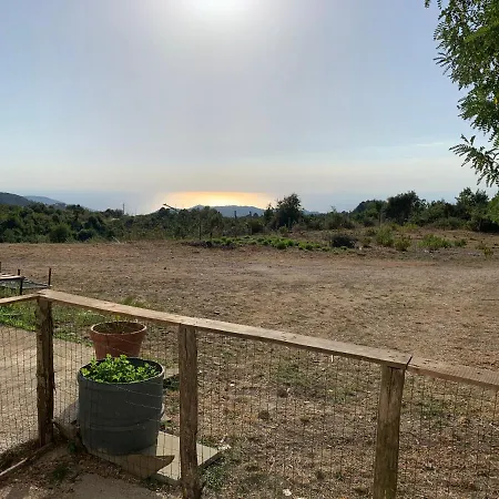Da Carmine In Campagna